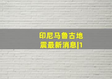 印尼马鲁古地震最新消息|1